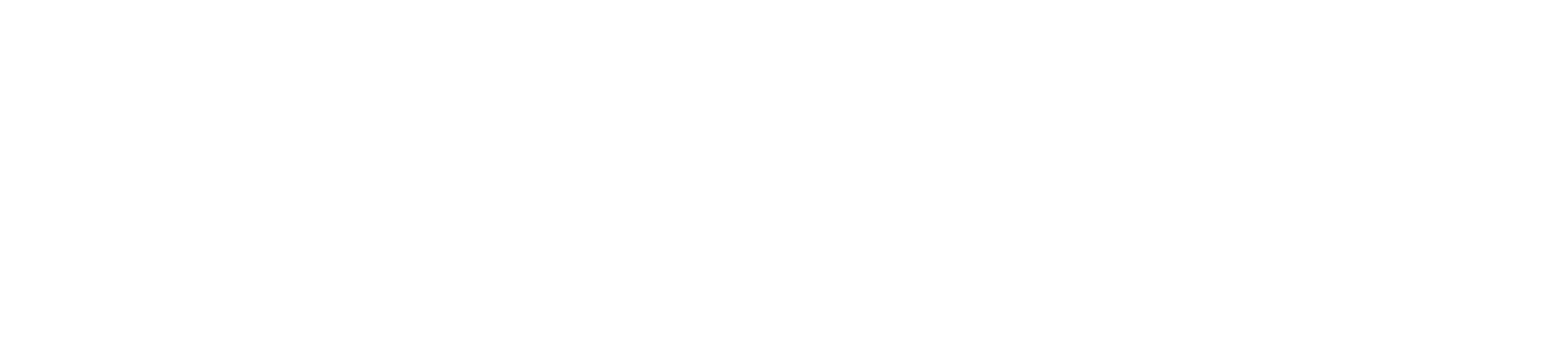 Dynamo AV